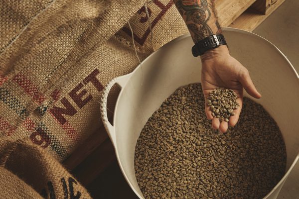 Oråstade gröna kaffebönor - kvinnliga kaffeskördare - Bild 3